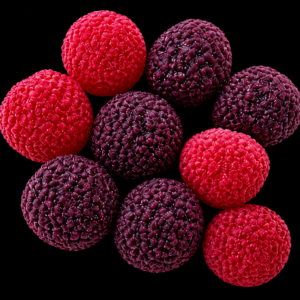 Juicy Berry · bonbons mûre-framboise